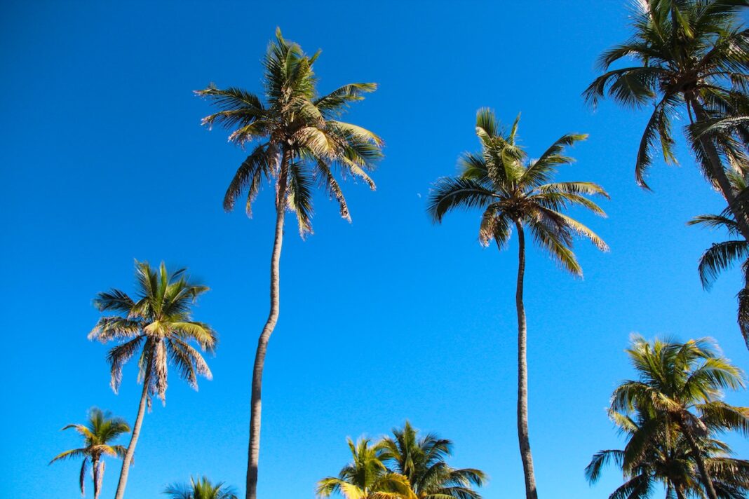 Melbourne-Florida-Beaches 25 Reasons to Live in Melbourne Florida