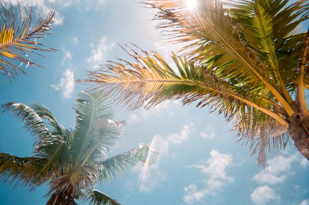 best-of-port-saint-lucie-florida