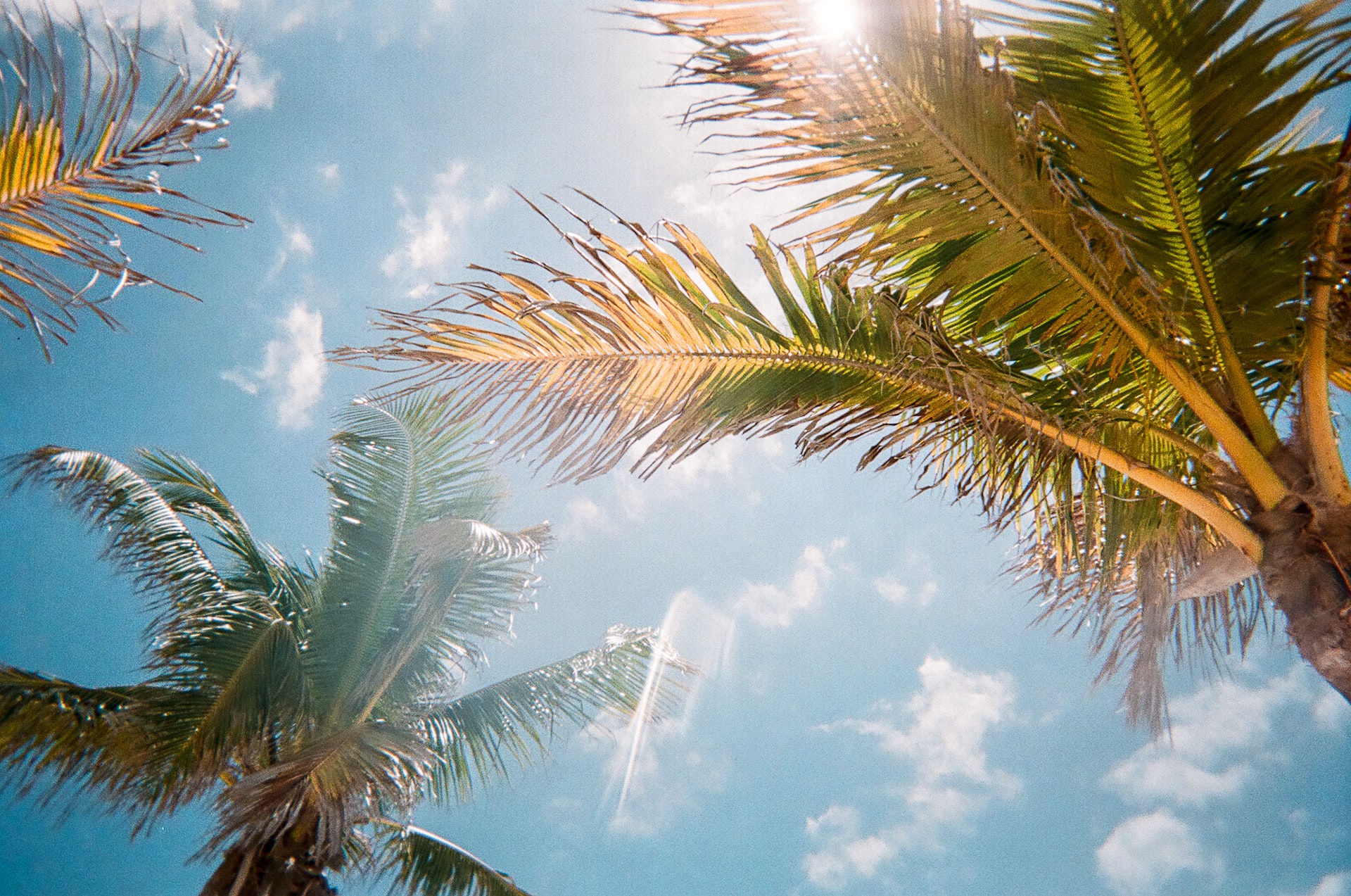 best-of-port-saint-lucie-florida