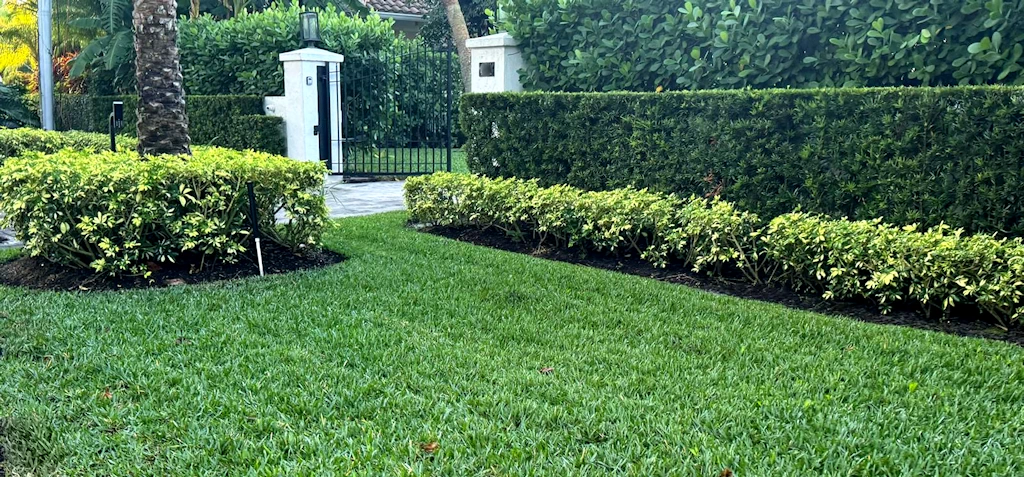Florida Sod Suppliers Premium Sod Delivery