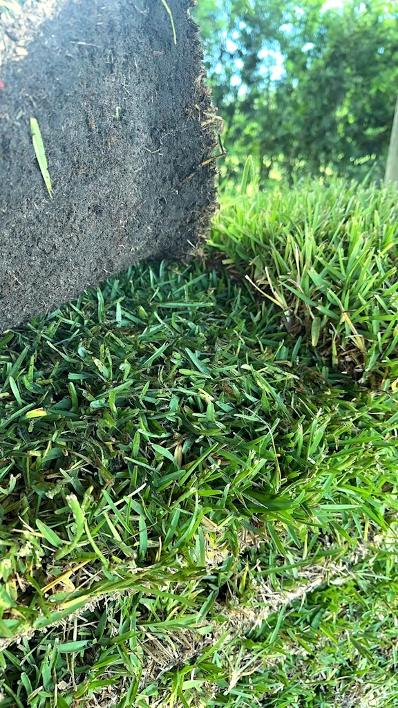 South Florida Sod Delivery